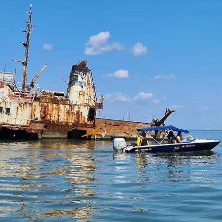 Pensiunea Izora Crisan  Bagian luar foto