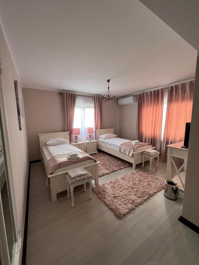 Pensiunea Izora Crisan  Bagian luar foto