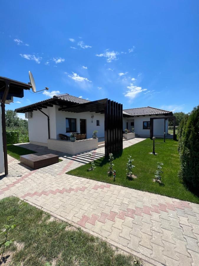 Pensiunea Izora Crisan  Bagian luar foto